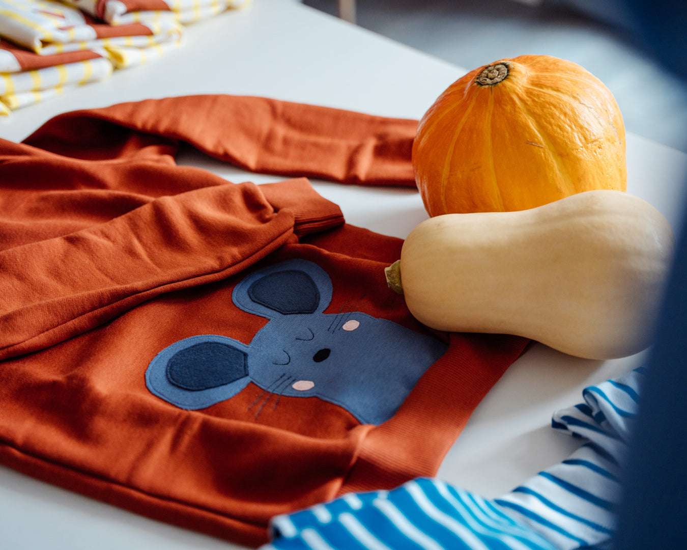 Sale Bio Kindermode günstig kaufen - Mäuse Sweater aus Biobaumwolle von internaht
