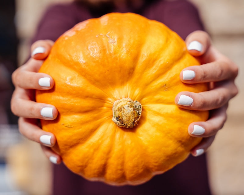 Halloweeen-Special: Spare jetzt zusätzlich 15 % mit dem Code Halloween!