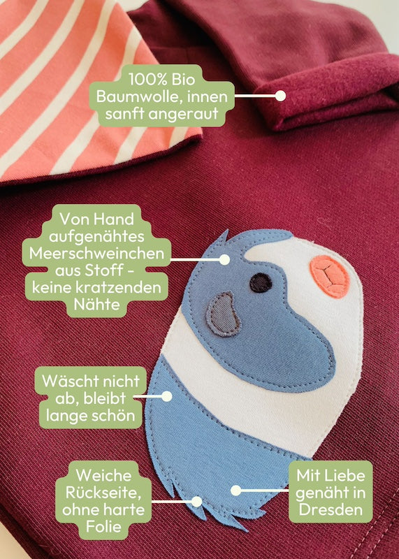 Baby Set mit Meerschweinchen-Pullover aus 100% Bio Baumwolle - dreiteiliges Baby-Set mit gestreifter Baby Hose und passenden Baby Halstuch - Vorteile auf einen Blick