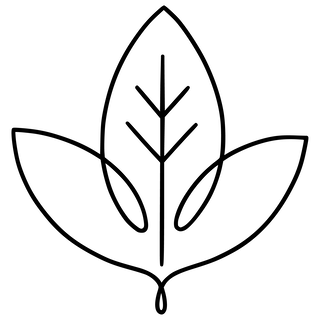 Damenmode aus Bio-Baumwolle aus Deutschland von internaht - Wir nähen unsere Biomode ausschließlich aus zertifizierten Biostoffen (kbA).