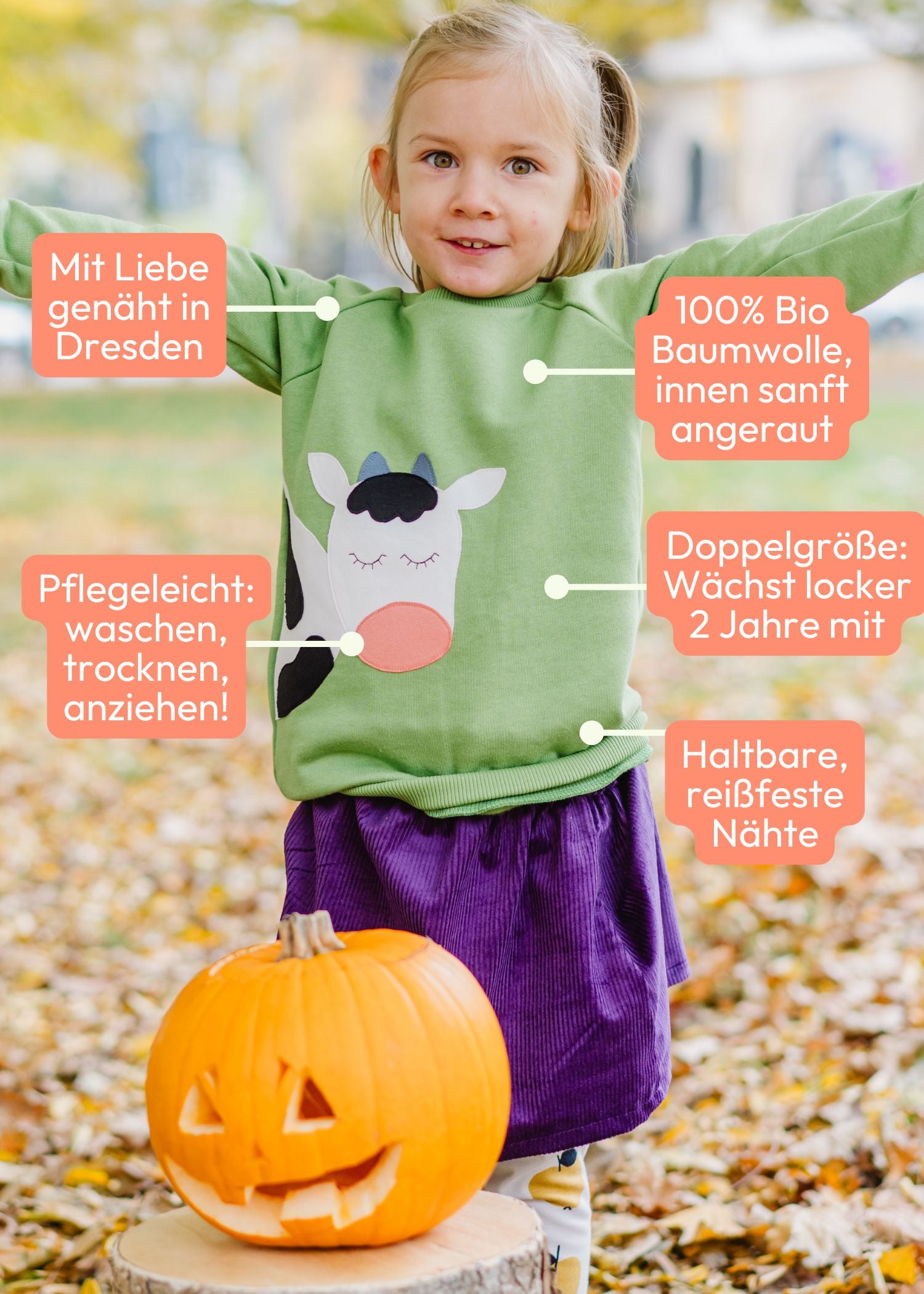 Vorteile zum grünen Kinder Pullover mit Kuh aus 100% Bio Baumwolle von internaht