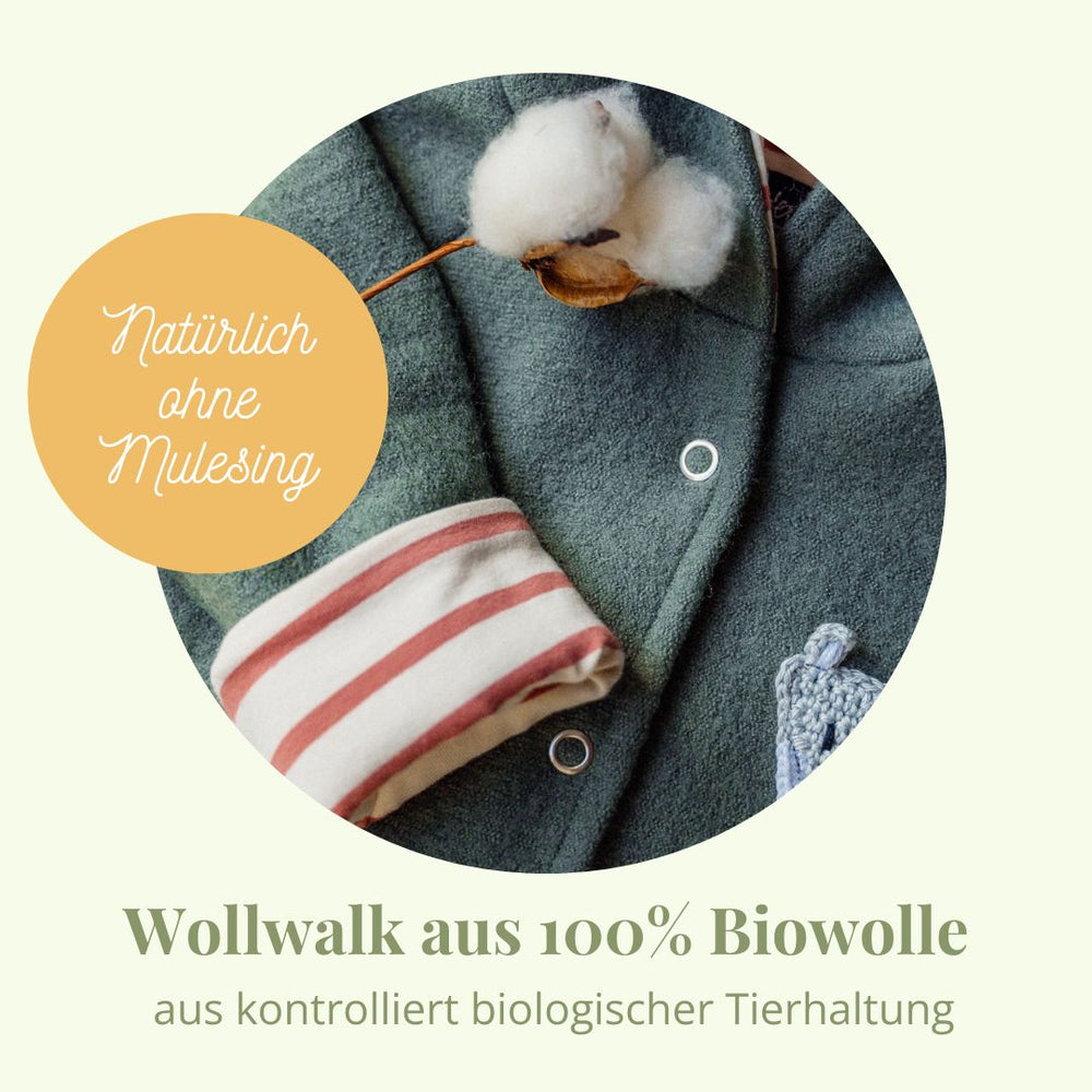 Wollwalk Overall aus Schurwolle für Babys aus 100% Schurwolle (kbT ohne mulesing) vollständig gefüttert mit Biojersey von internaht
