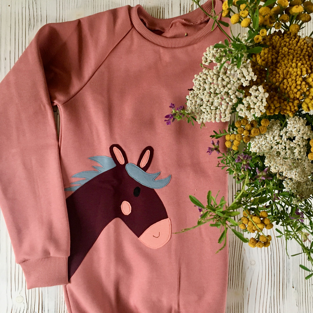 Rosenholz Pferde Pullover für Kinder aus Biobaumwolle von internaht