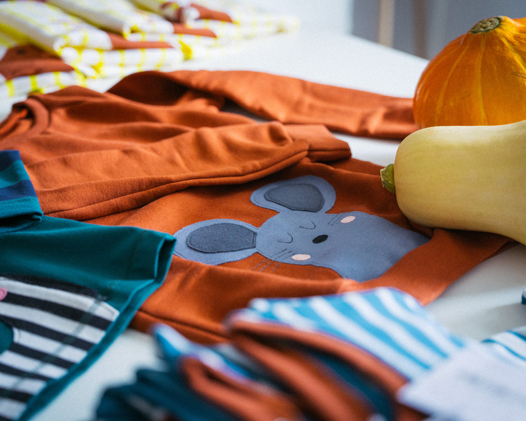 Faire Kindermode aus Dresden - Sweatshirt für Kinder mit Maus aus 100% Biobaumwolle von internaht