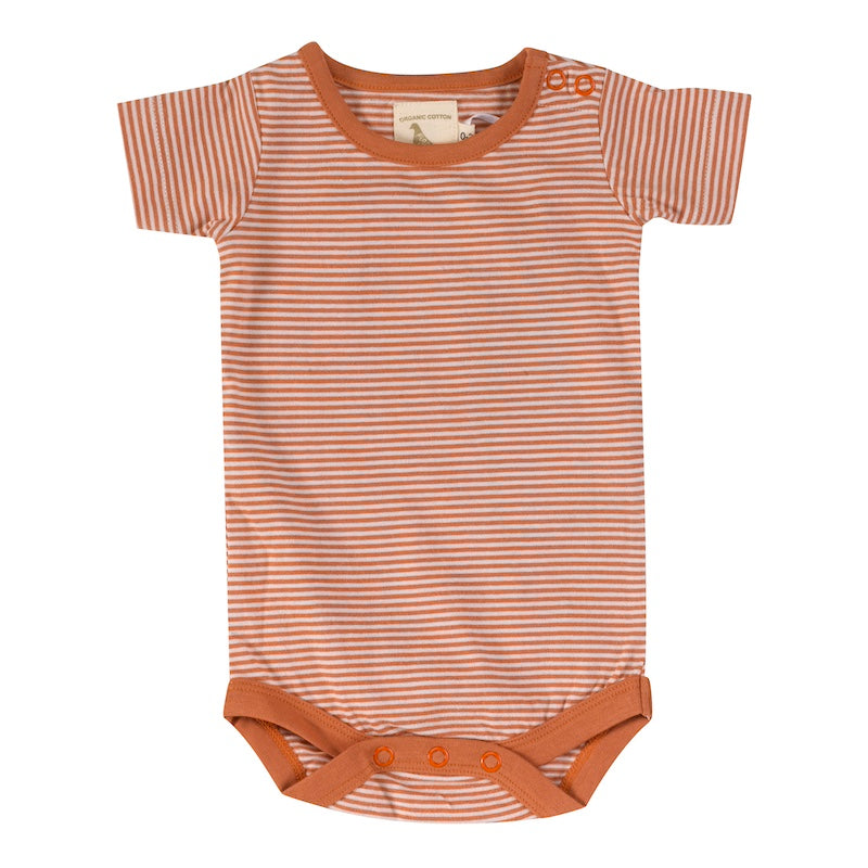 Baby Body aus 100% Bio Baumwolle Kurzarm Braun gestreift von Pigeon Organics