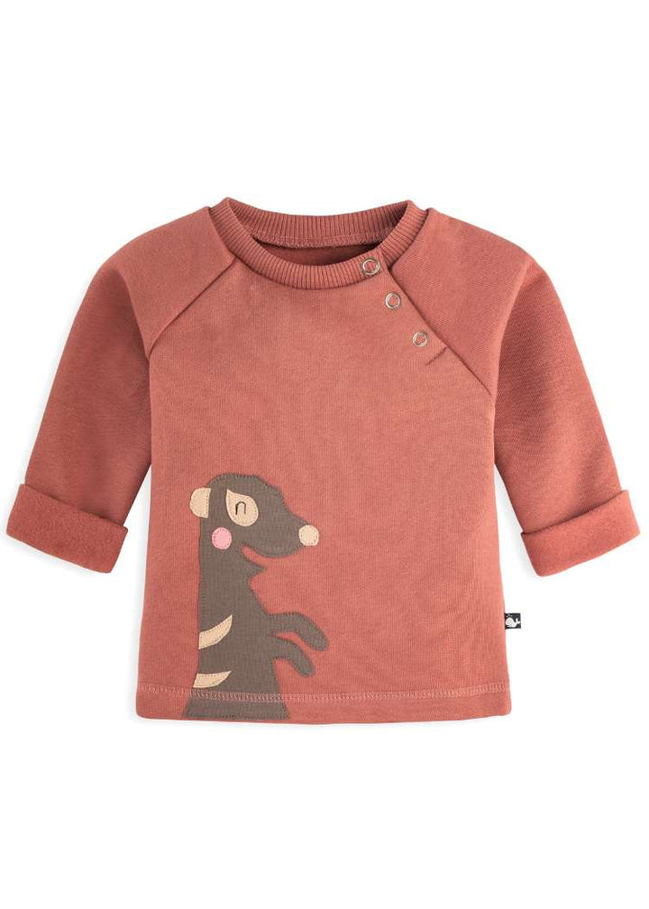 Baby Pullover aus 100% Bio Baumwolle mit Erdmännchen-Motiv von internaht