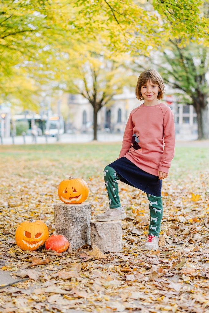 Kinder Pullover mit Pferd aus 100% Bio Baumwolle von internaht
