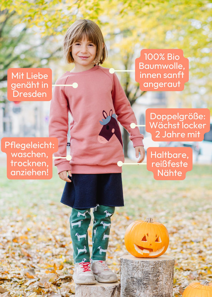 Kinder Pullover mit Pferd aus 100% Bio Baumwolle von internaht - deine Vorteile auf einen Blick