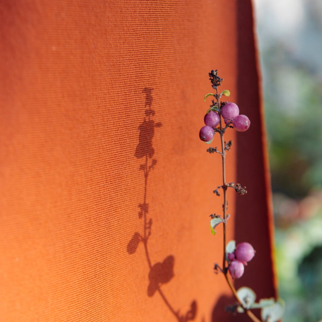 Für unsere farbenfrohe Kindermode verwenden wir ausschließlich hochwertige, zertifizierte Biostoffe, wie z.B. dem im Foto gezeigten innen sanft angerauten Bio Sweat in Henna aus 100% Biobaumwolle von Lebenskleidung 