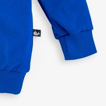 Hinreißendes blaues Pinguin Sweatshirt für Kinder aus 100% Bio Baumwolle von internaht